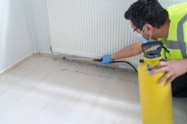 Best Mosquito Control Services  in Calabash, NC